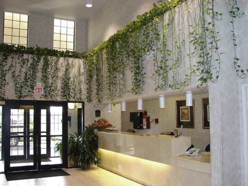 Quality Inn & Suites Airport Όστιν Εξωτερικό φωτογραφία